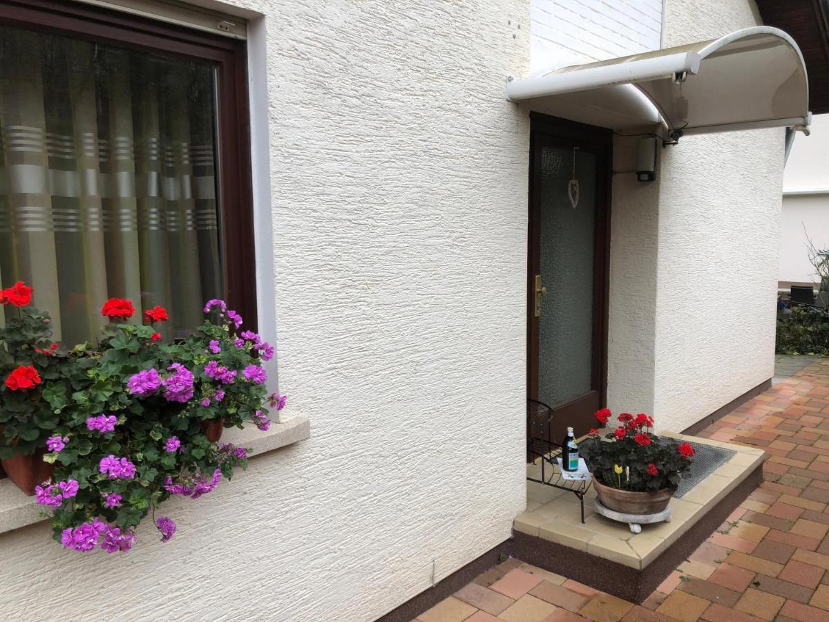 Ferienwohnung Heidelberg Ze-2020-7-Wz Dış mekan fotoğraf